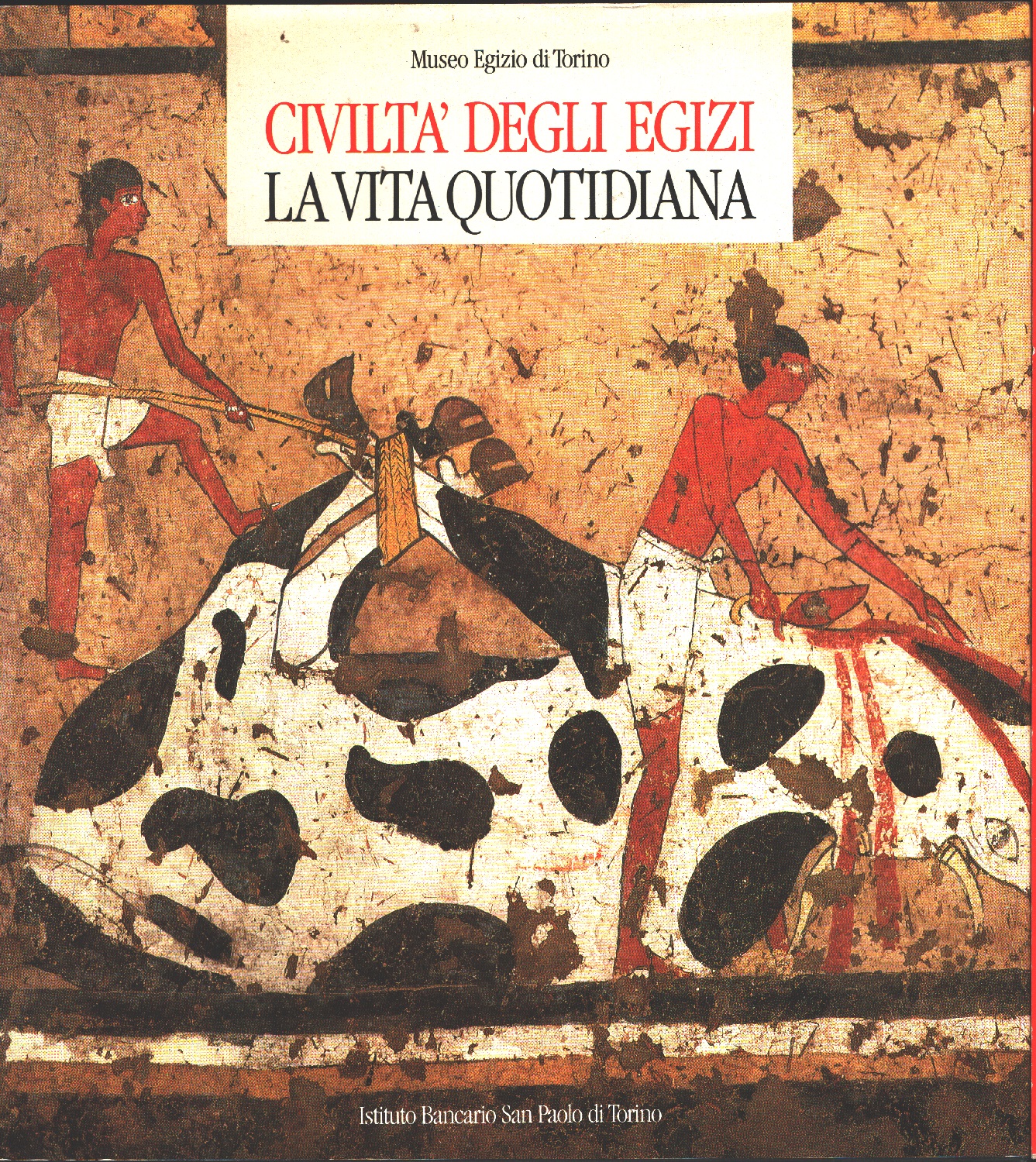 Civiltà degli Egizi. La Vita Quotidiana - Museo egizio di …