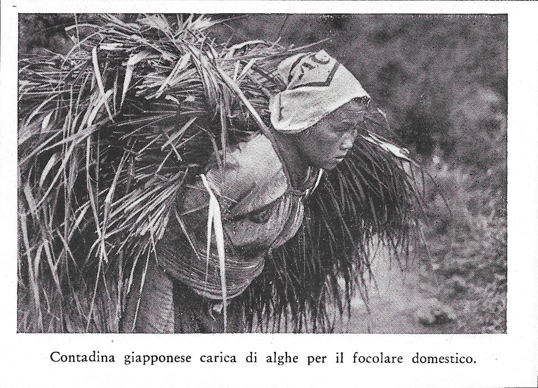 Contadina giapponese carica di alghe per il focolare domestico. Stampa …