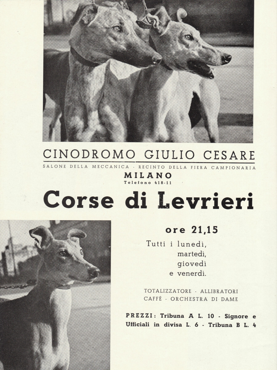 Corse di levrieri. Cinodromo Giulio Cesare Milano. Advertising 1937