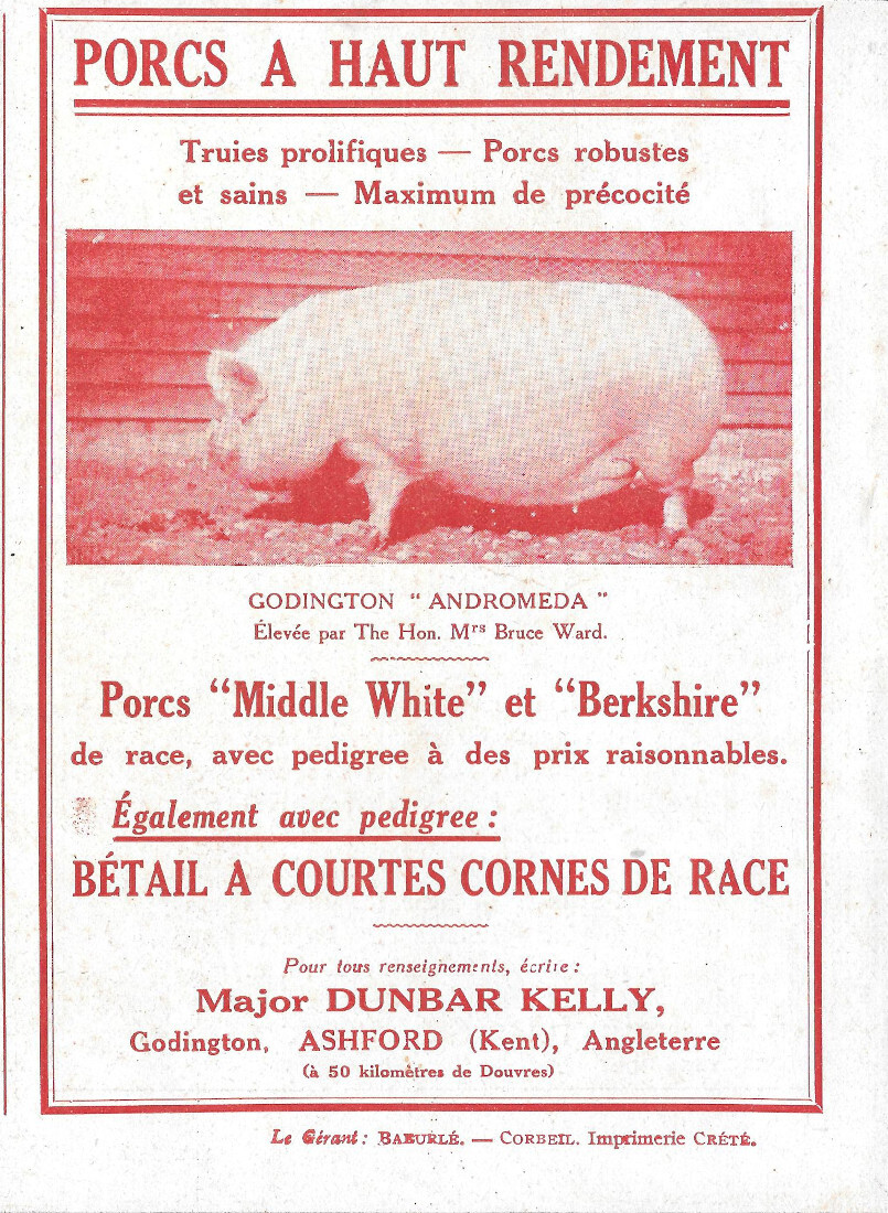 Dunbar Kelly (Ashford, Kent) porcs a haut rendement - Advertising …