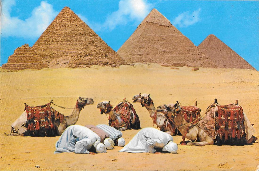 Egypt. Giza. Prayer near the Pyramids n. 2. Non viaggiata