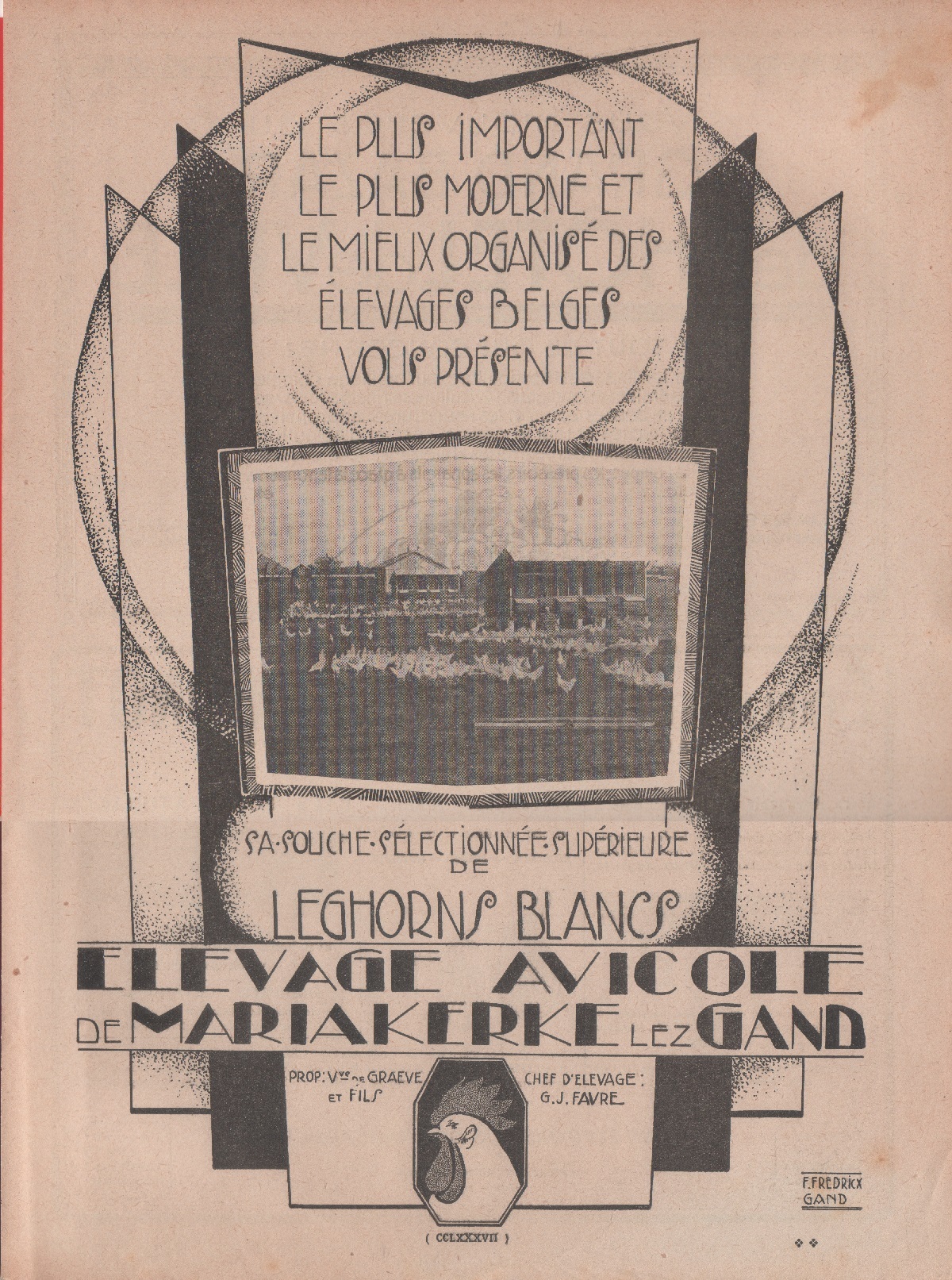 Elevage avicole de Marakerke lez Gand. Advertising 1928