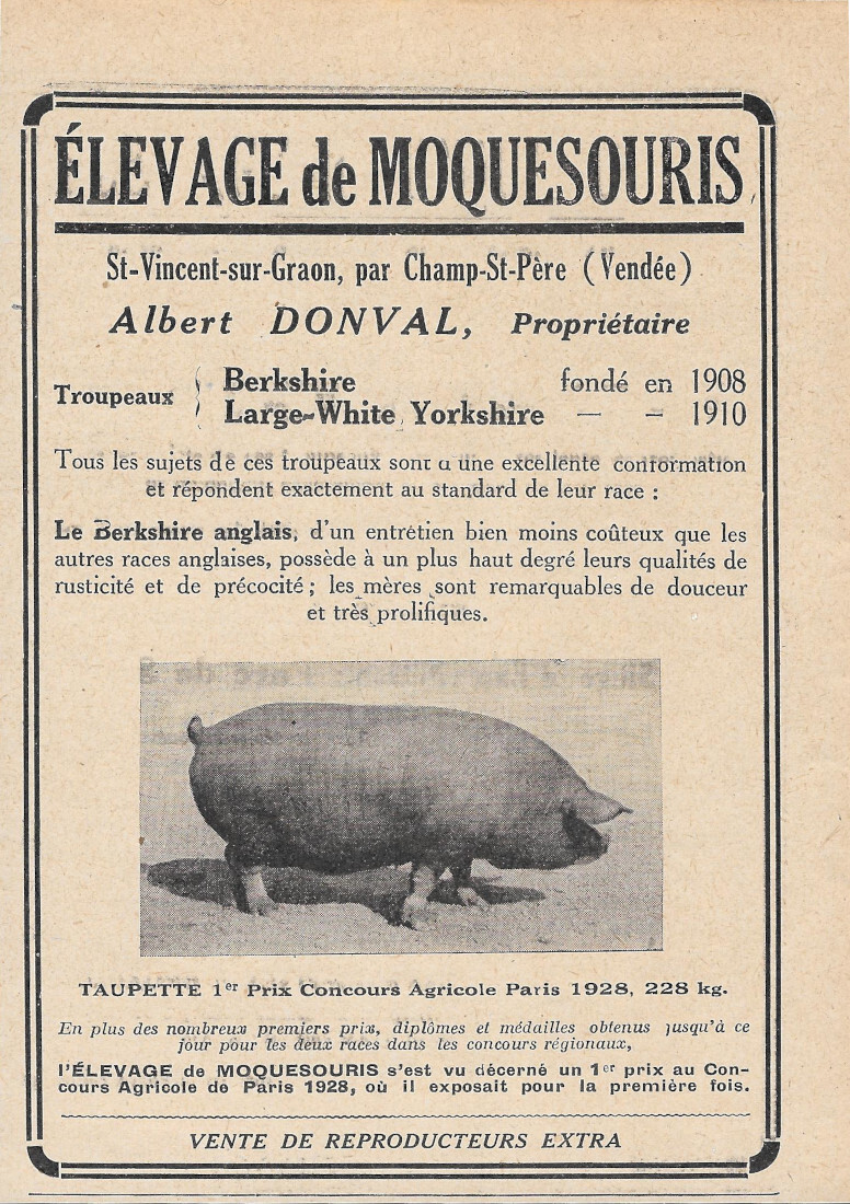 Elevage de Moquesouris - Advertising 1924