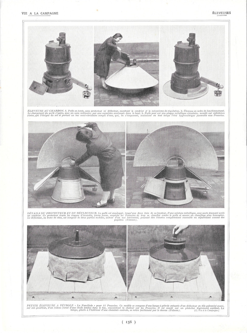 Eleveuses des poussins / Elevage de lapins - Immagine 1928