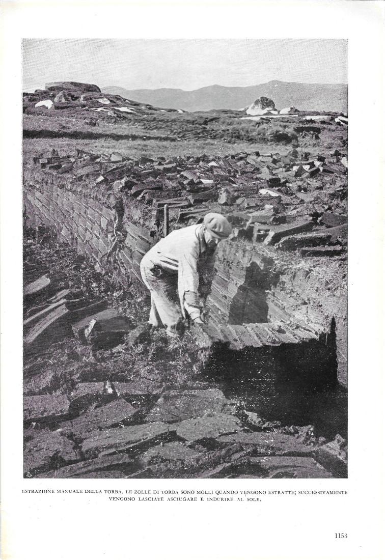 Estrazione manuale della torba. Stampa 1951