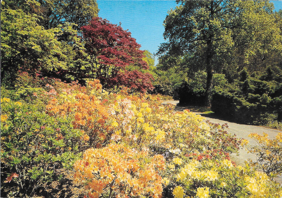 Exbury Gardens. Exbury. Southampton. Non viaggiata
