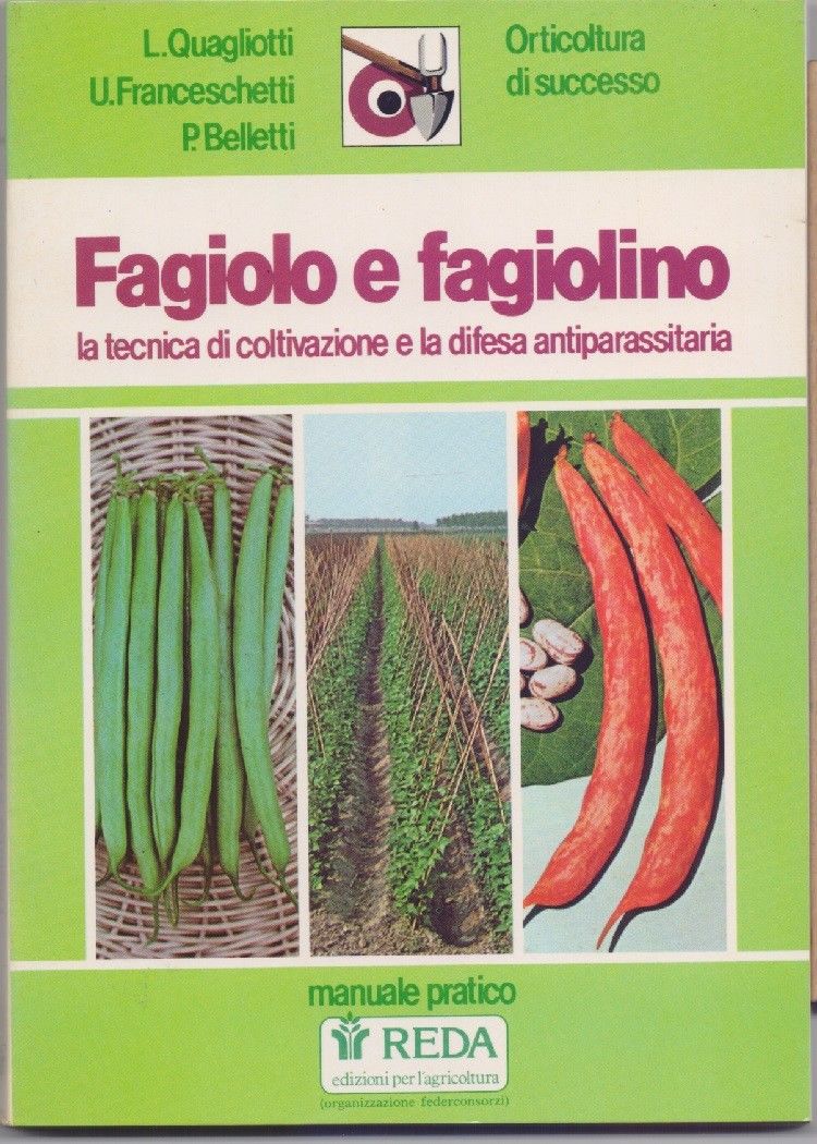 Fagiolo e fagiolino - Quagliotti/ Franceschetti/Belletti - Reda - 1984 …