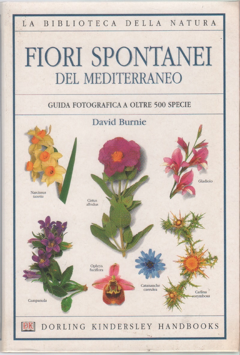 Fiori spontanei del Mediterraneo. Guida fotografica a oltre 500 specie