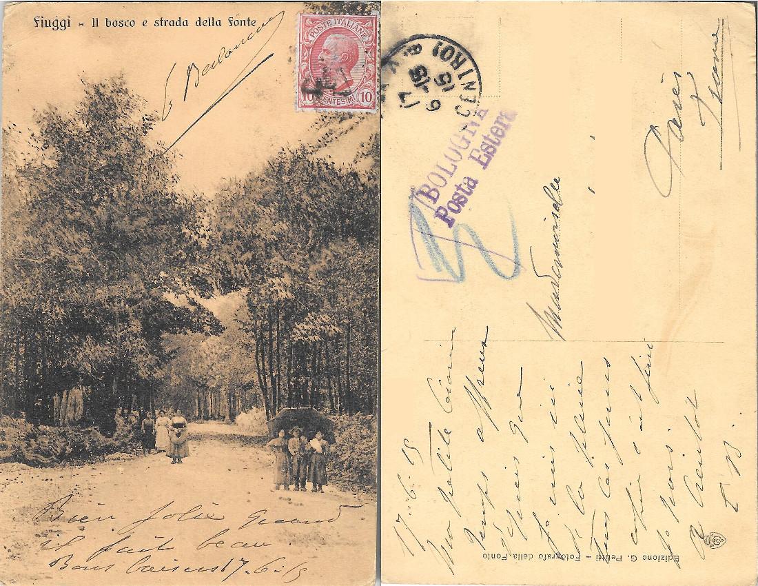 Fiuggi. Il Bosco e Strada della Fonte. Viaggiata 1915