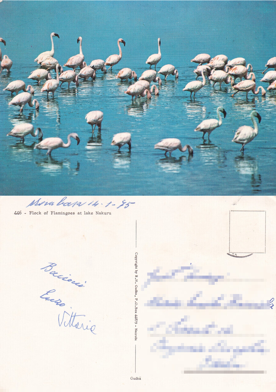 Flamingoes at Lake Nakuru - Viaggiata 1975