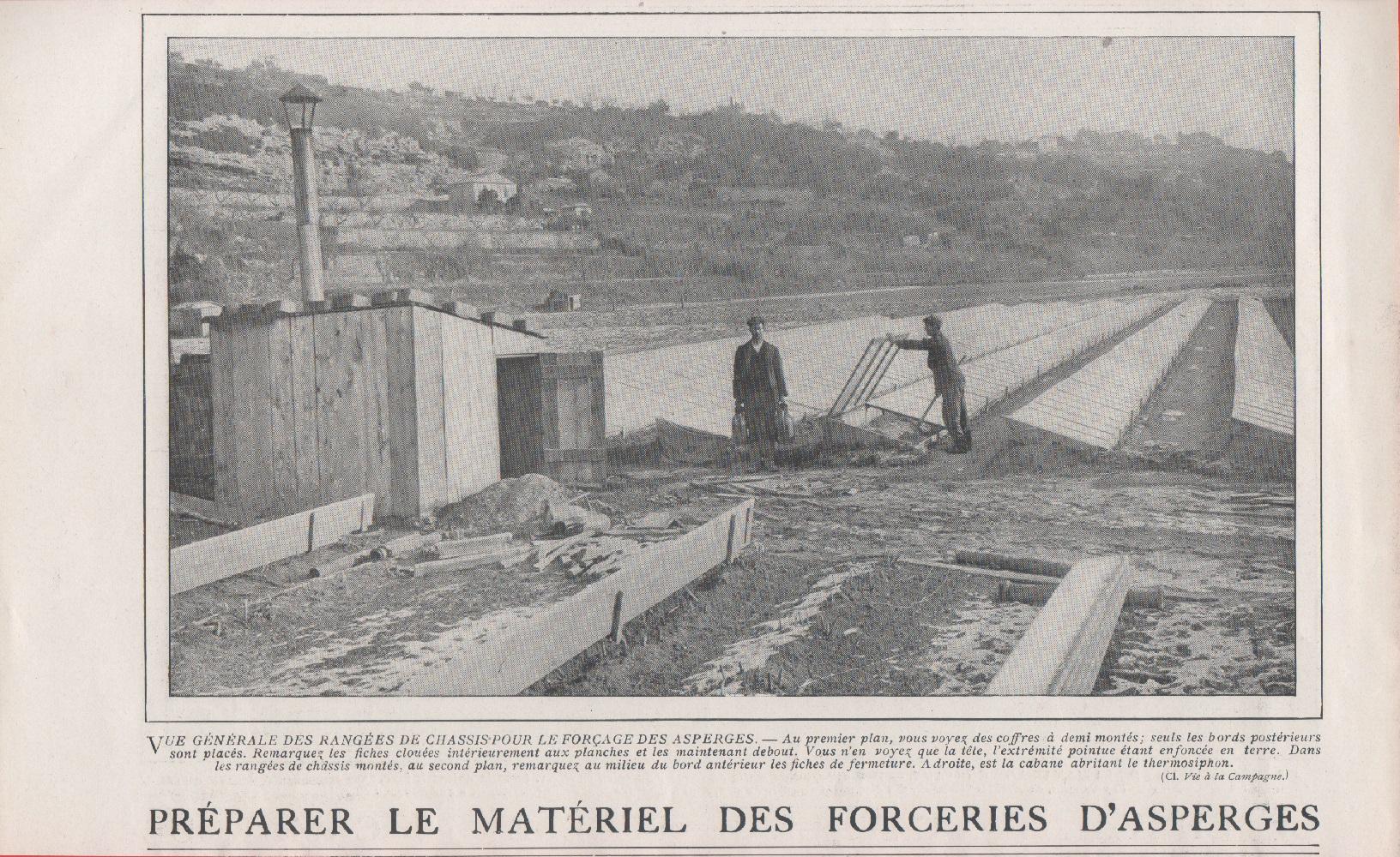 Forcieres d'esperges/Cheval de cavalerie legere en Camargue. Stampa 1911