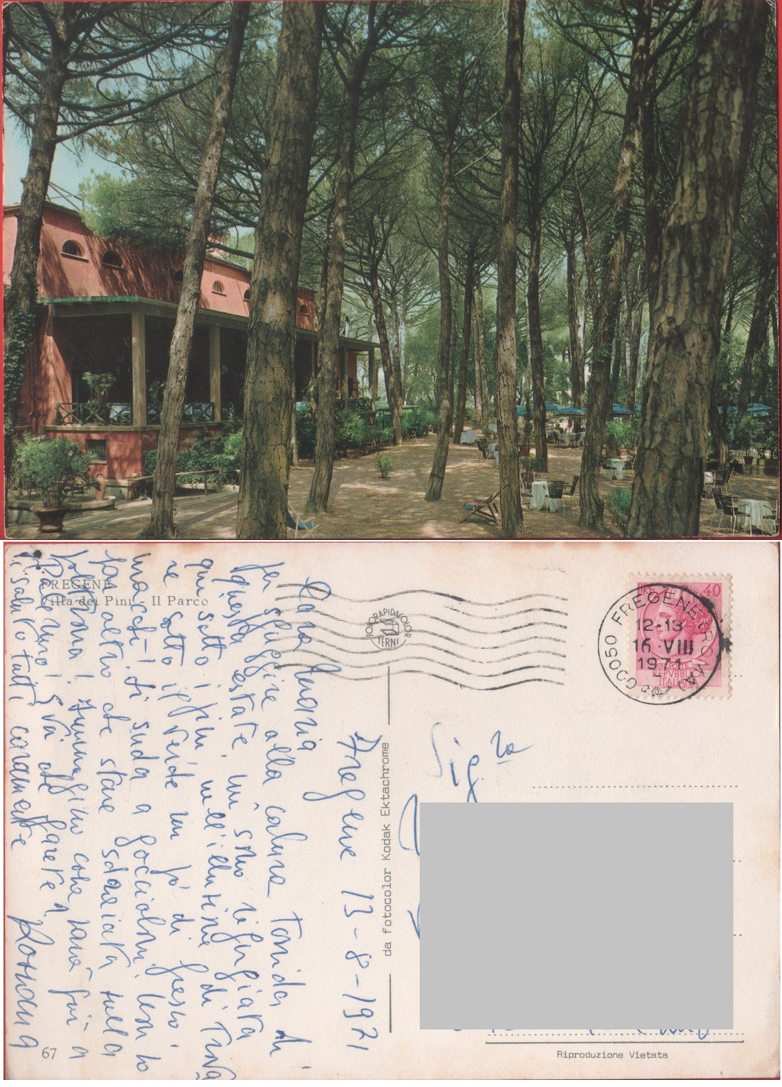 Fregene (RM). Villa dei Pini. Il parco. Viaggiata 1971