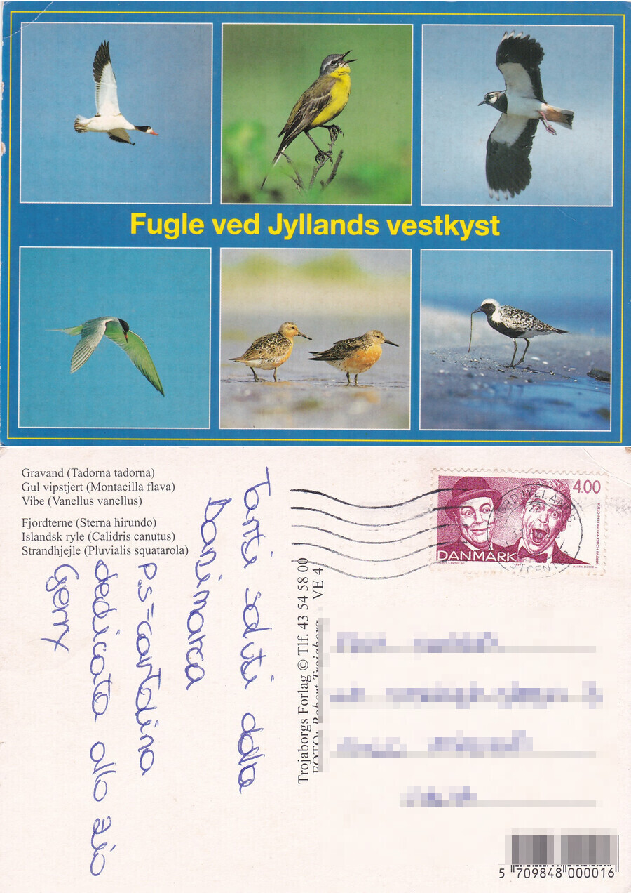 Fugle ved Jyllands vestkyst - Viaggiata