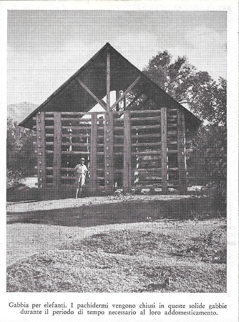 Gabbia per elefanti (Travancore). Stampa 1934