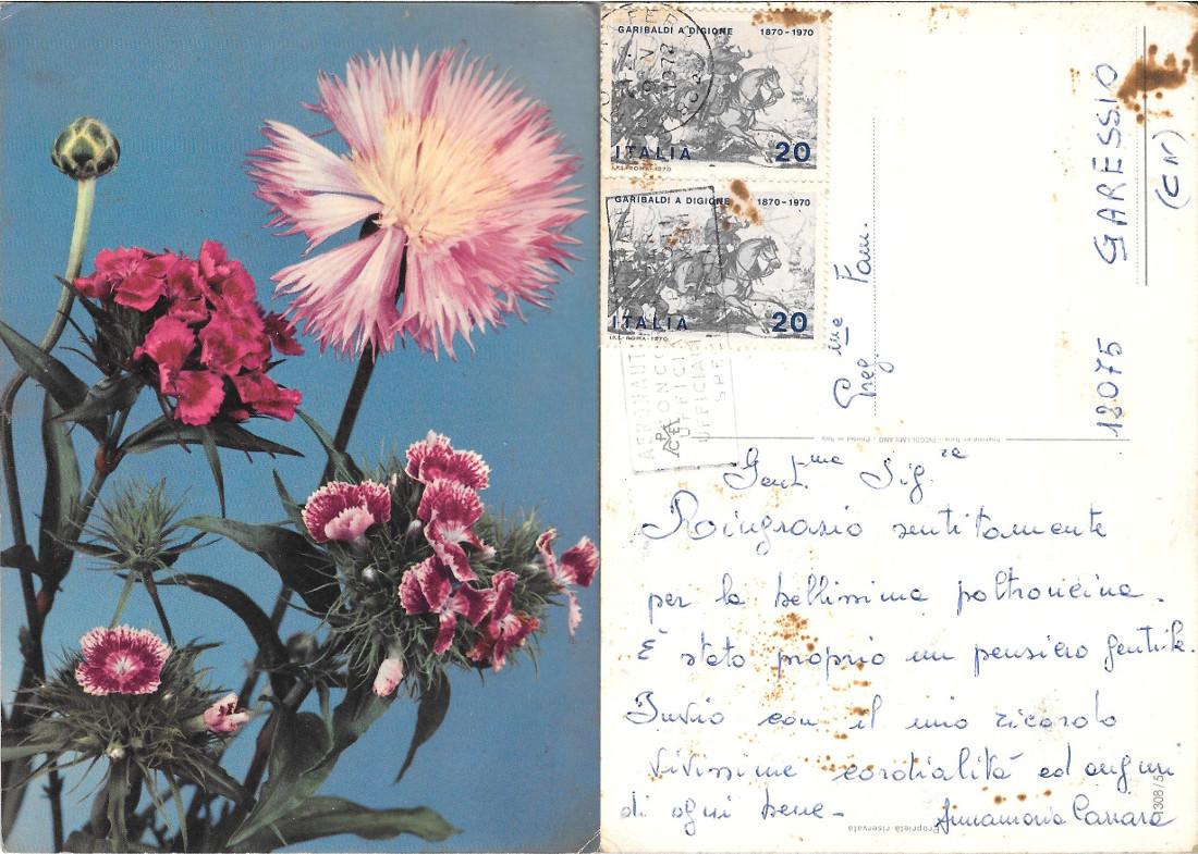 Garofani. Viaggiata 1972