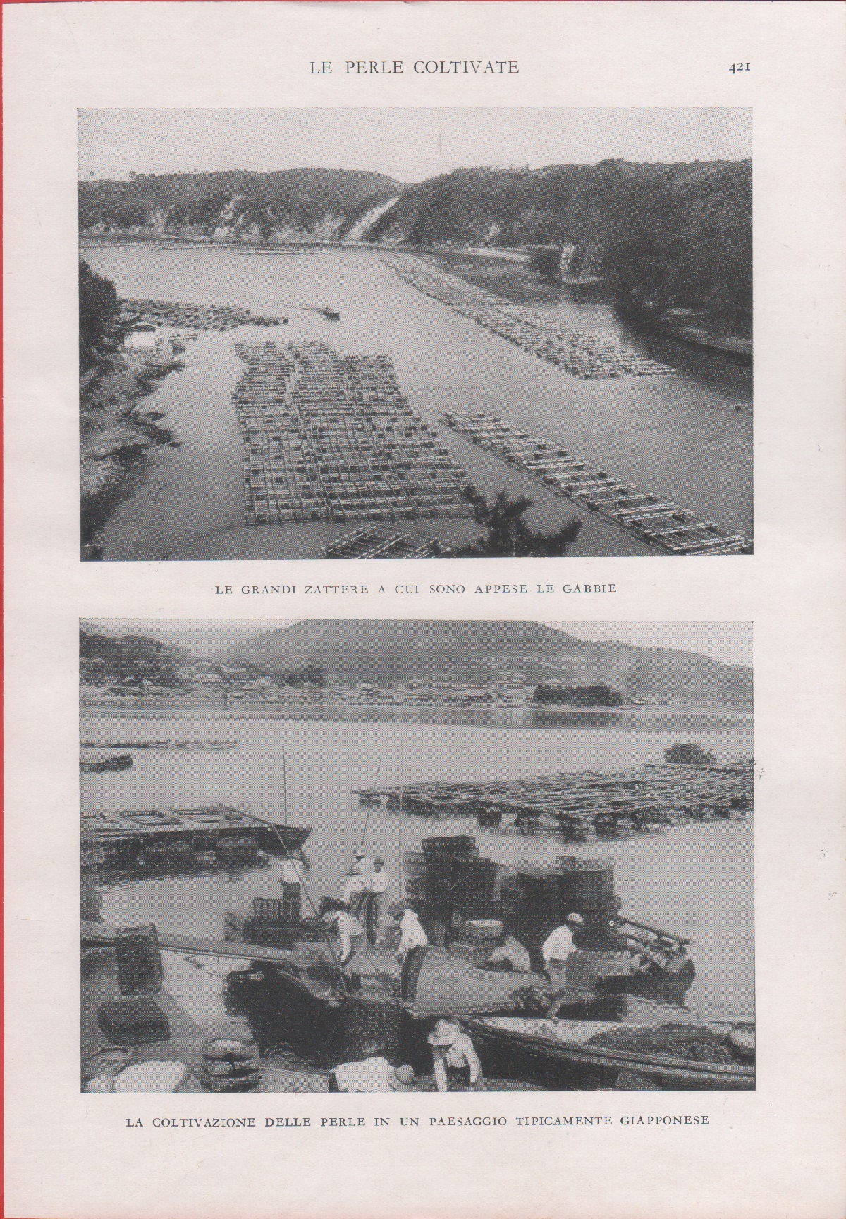 Giappone. Allevamento delle ostriche perlifere. Immagine 1937