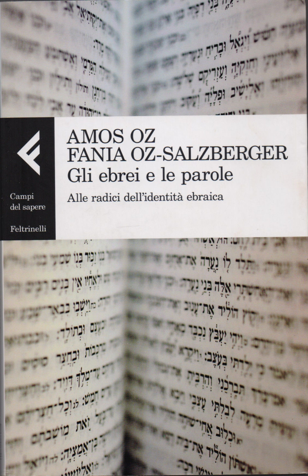 Gli ebrei e le parole. Alle radici dell'identità ebraica - …