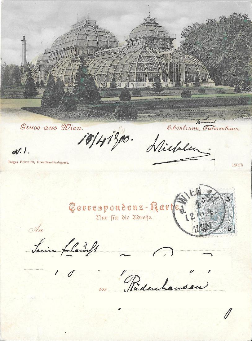Gruss aus Wien, Schonbrunn Palmenhaus. Viaggiata 1900