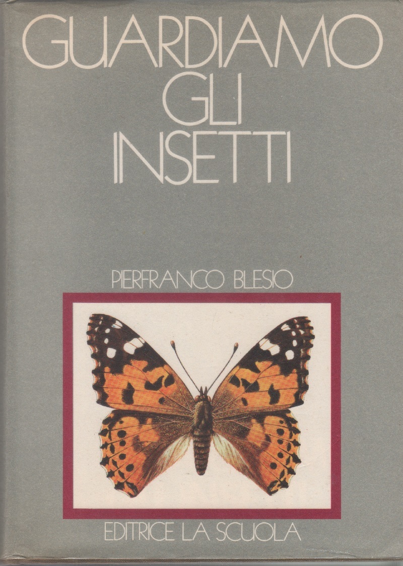 Guardiamo gli insetti