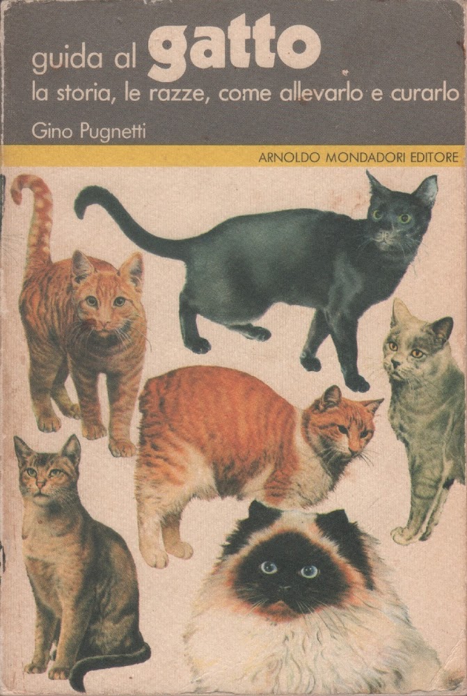 Guida al gatto. La storia, le razze, come allevarlo e …