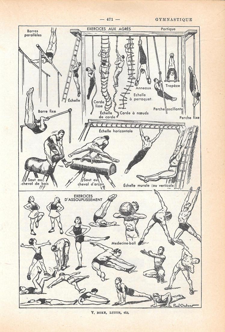 Gymnastique. Stampa 1954