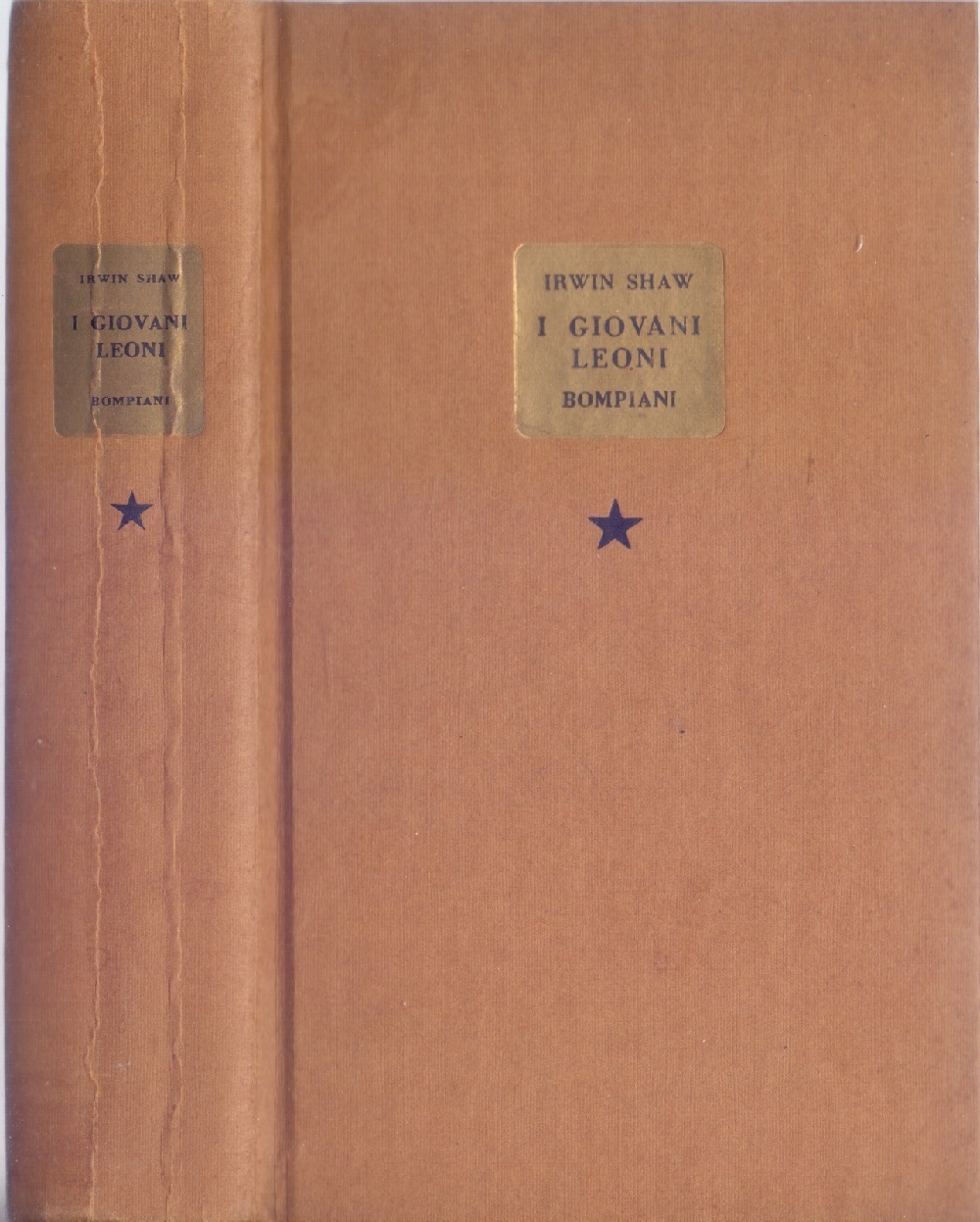 I giovani leoni - Irvin Shaw