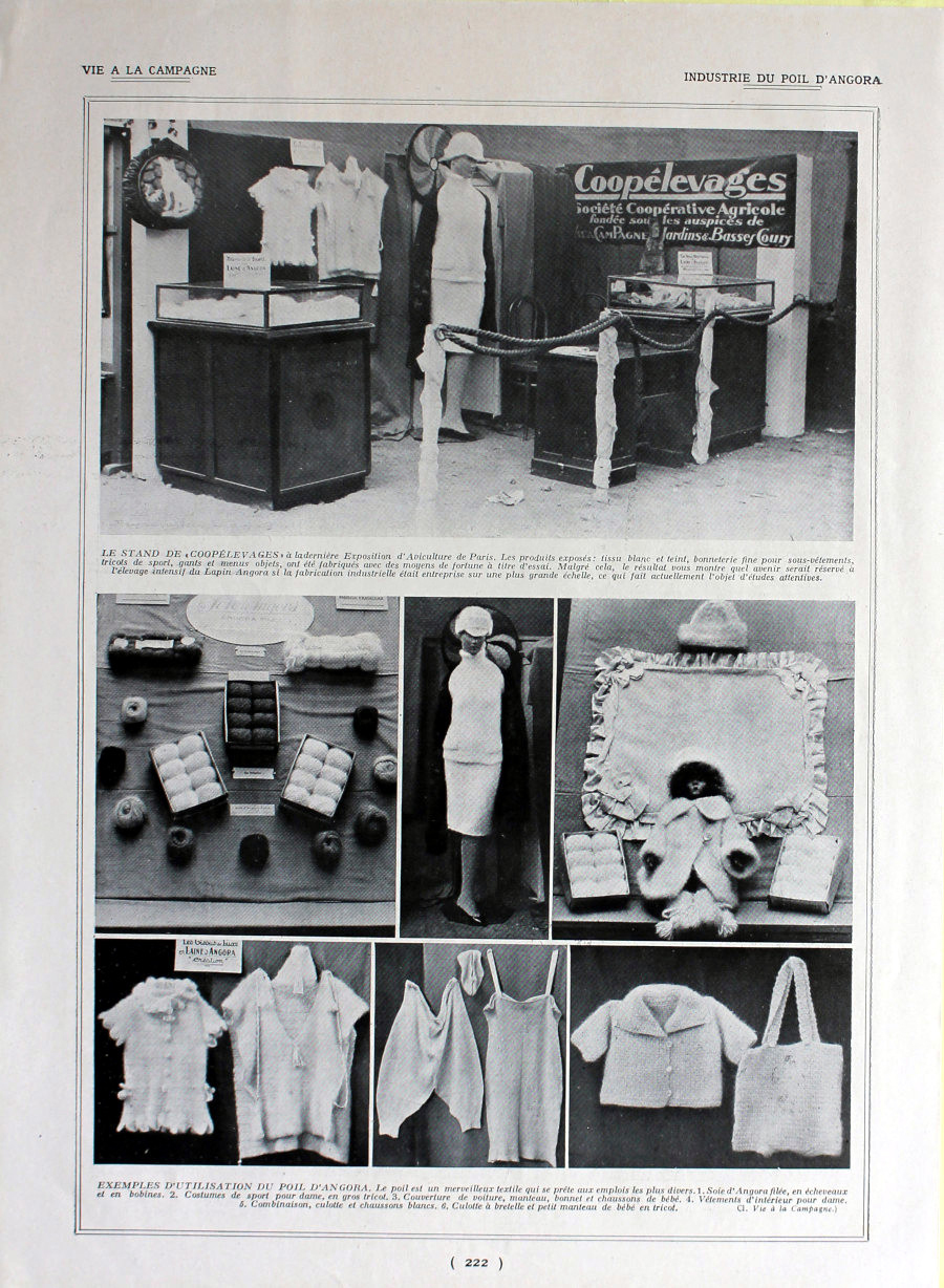 Industrie du poil d'Angora. Immagine 1926