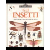 Insetti