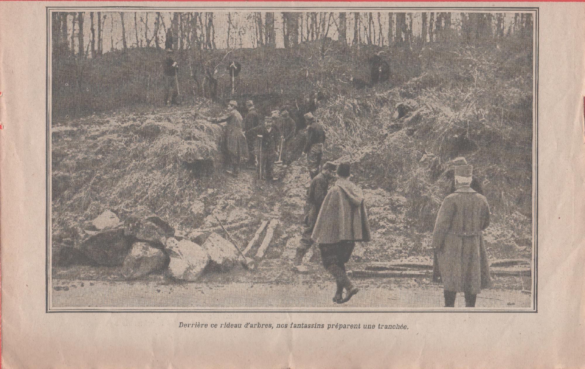 IWW. Derriere ce rideau d'arbres nos fantassins preparent une tranchee. …