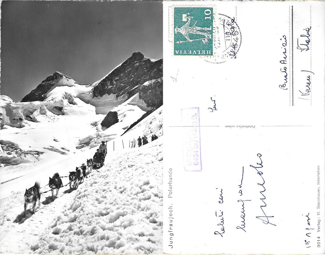 Jungfraujoch. Polarhunde. Viaggiata 1969