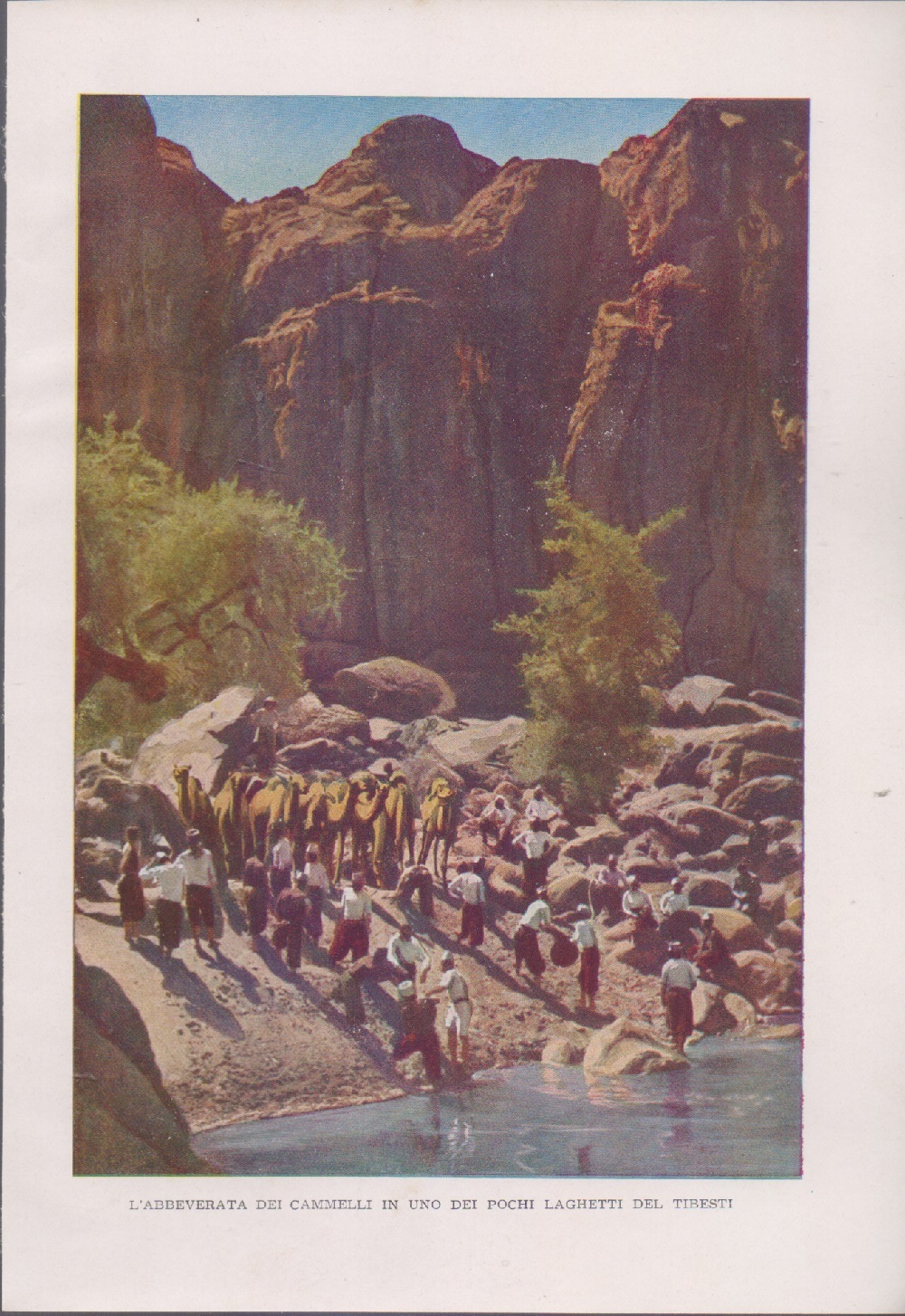 L'abbeverata dei cammelli in uno dei pochi laghetti del Tibesti. …