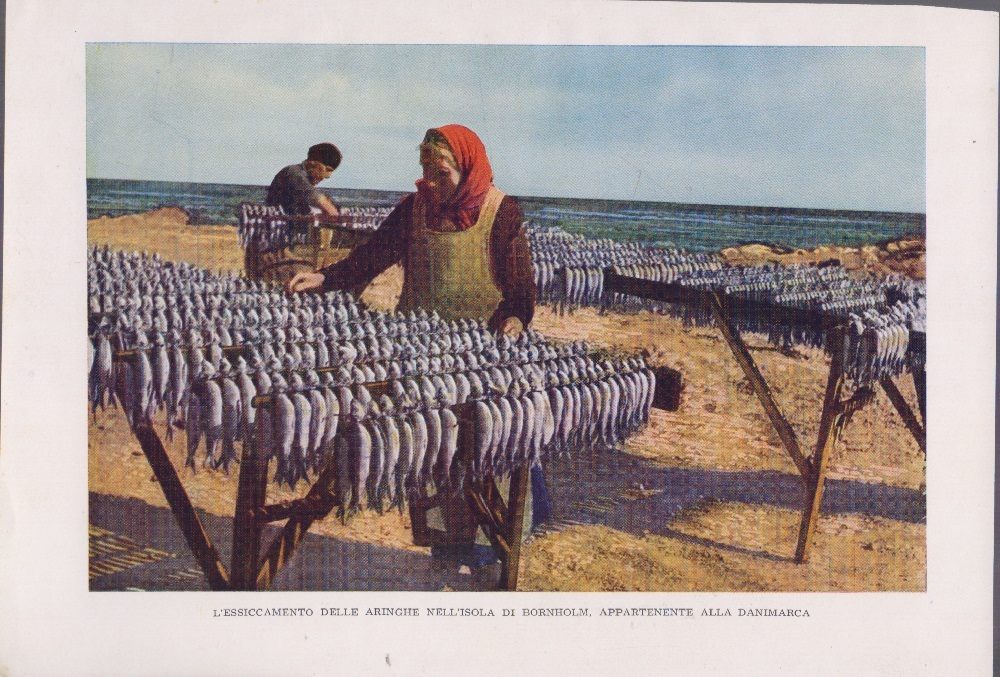 L'essiccamento delle aringhe nell'isola di Bornholm (Danimarca). Immagine 1940