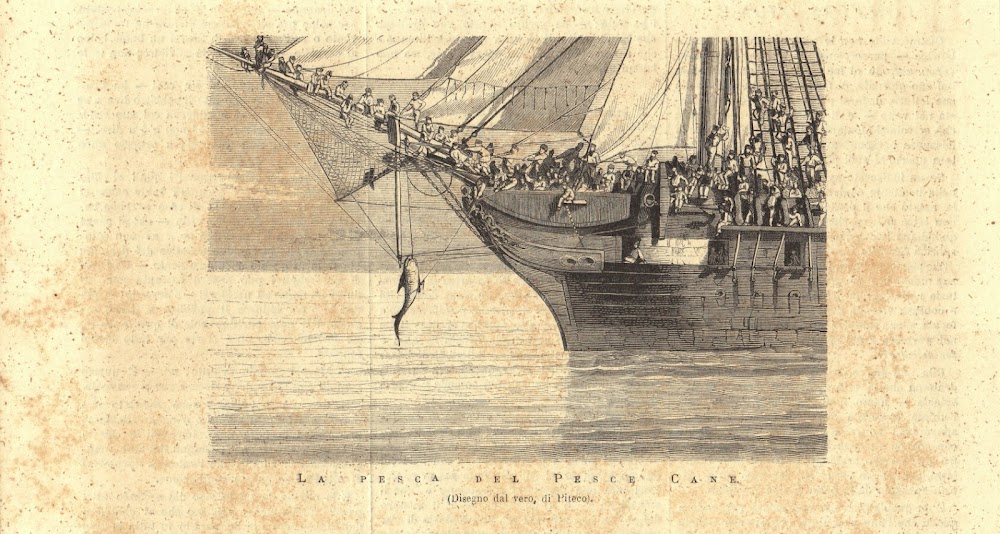 La pesca del pesce cane. Stampa 1876