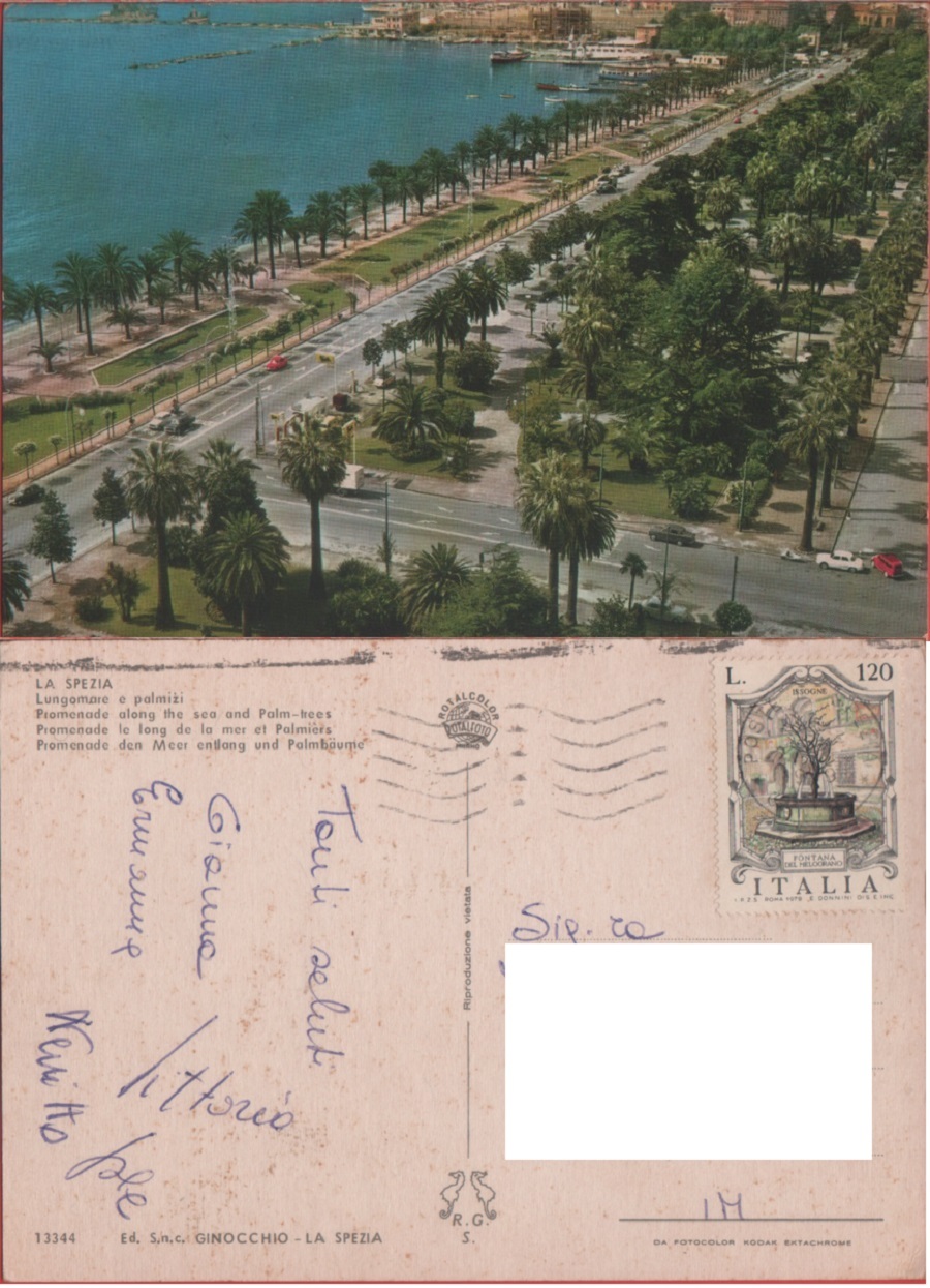 La Spezia. Lungomare e palmizi. Viaggiata