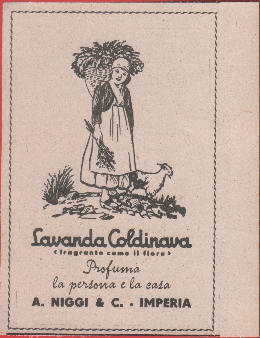 Lavanda Coldinava. Advertising 1941