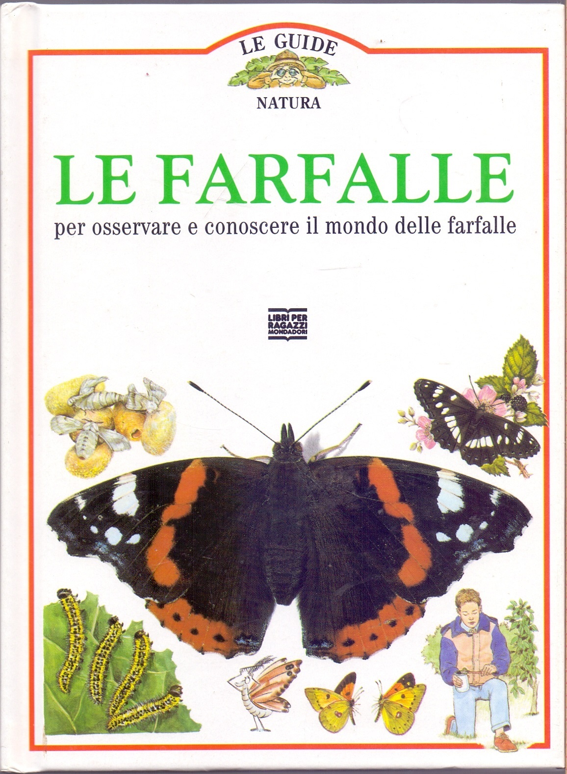 Le farfalle Per osservare e conoscere il mondo delle farfalle