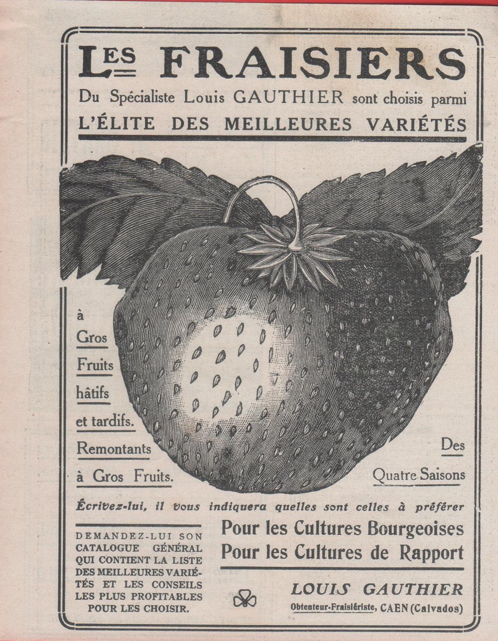 Les fraiers du specialiste Louis Gauthier. Caen. Advertising 1912