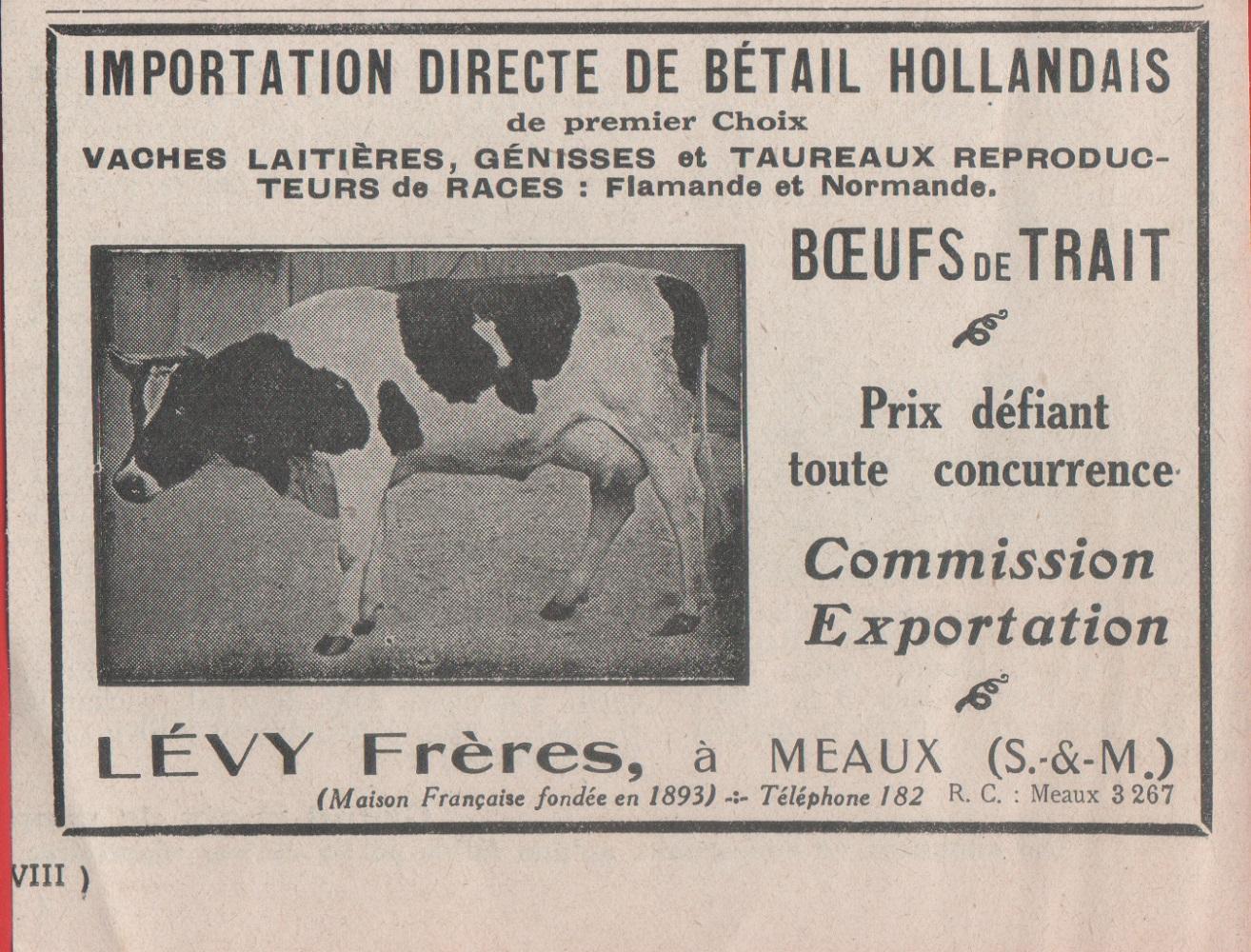 Lévy frères. Importation directe de betail hollandais. Advertising 1924