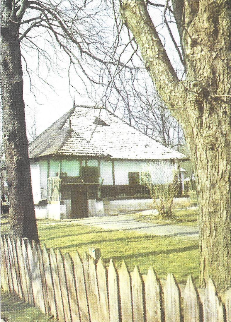 Maison du village Traisteni. District de Prahova(Romania). Non viaggiata