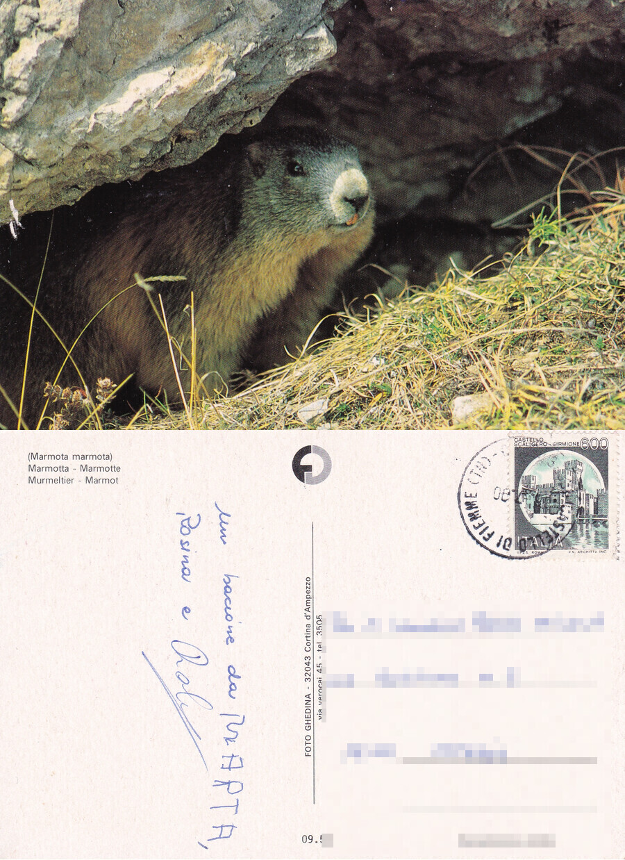 Marmotta. Viaggiata