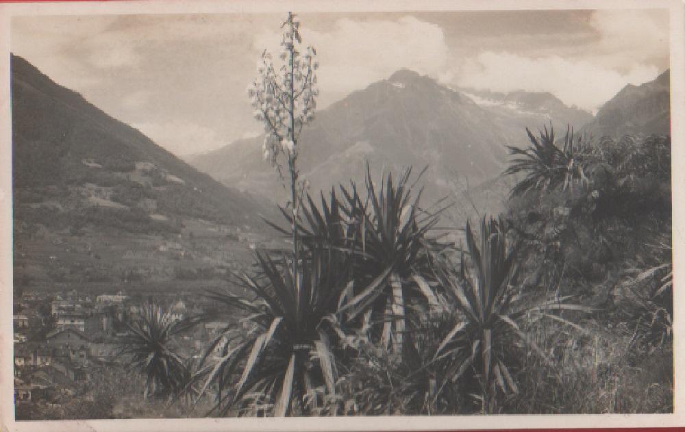 Merano. Passeggiata Tappeiner. Non viaggiata