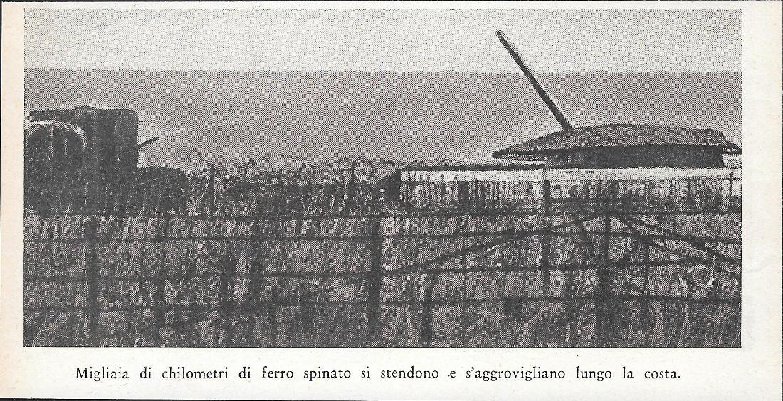 Migliaia di chilometri di ferro spinato si stendono lungo la …