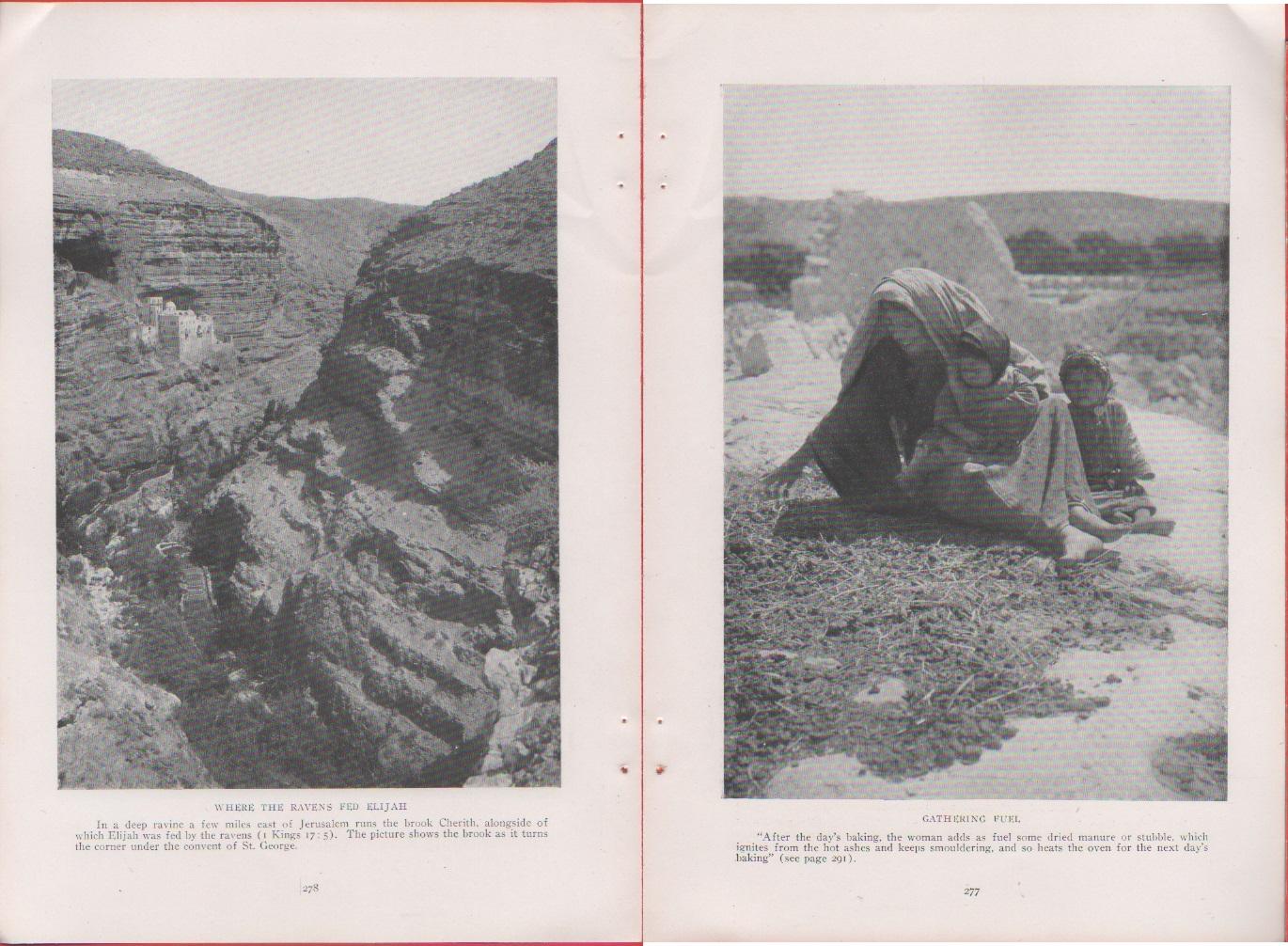 Palestine. Where the ravens fed Elijah/Gathering fuel. Foto da rivista …