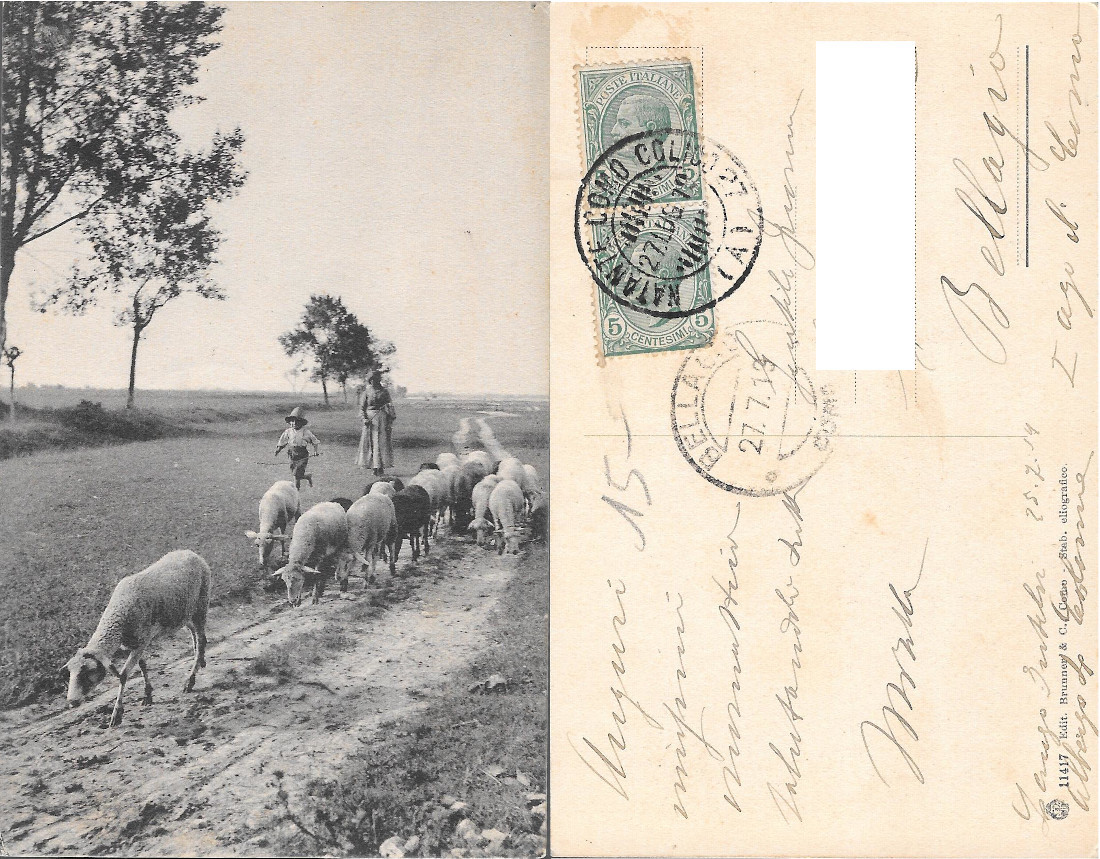 Pastori con pecore. Viaggiata 1913