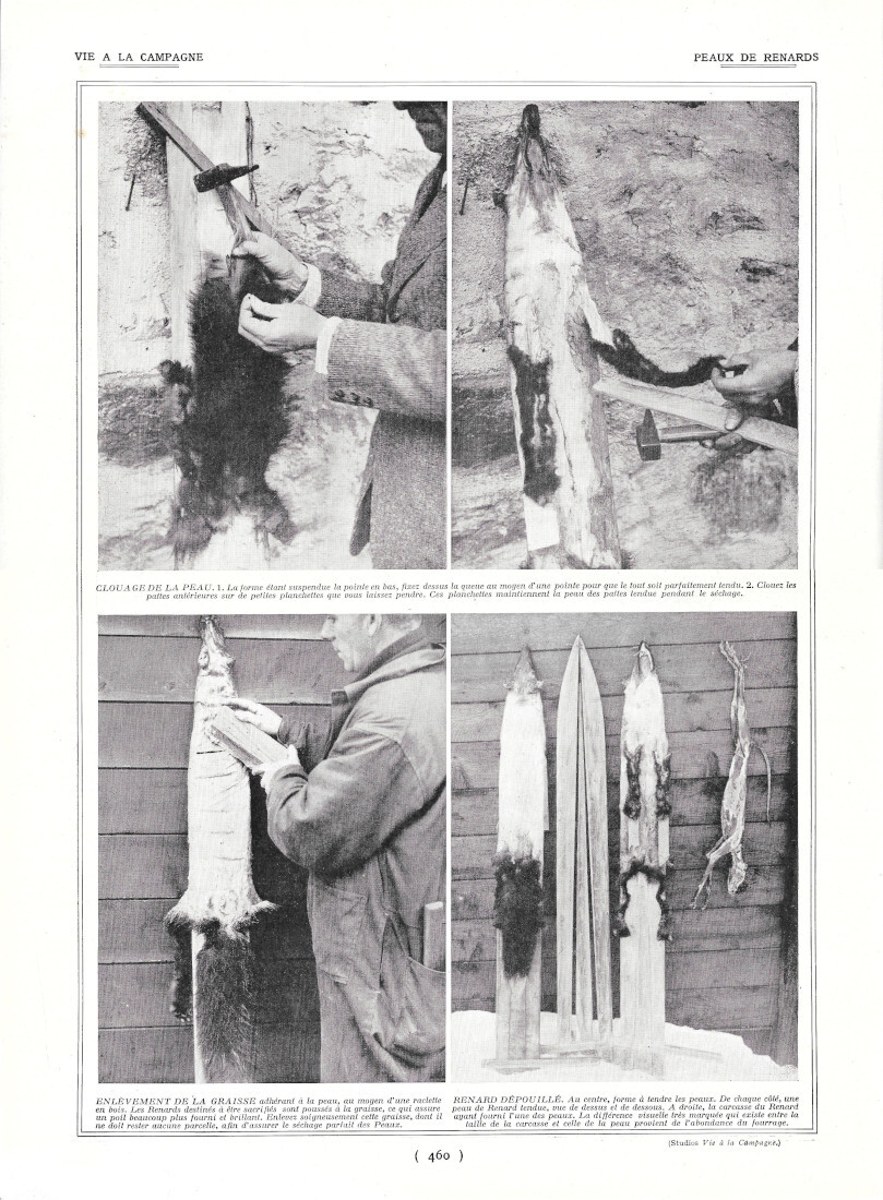 Peaux de Renards - Immagine 1924