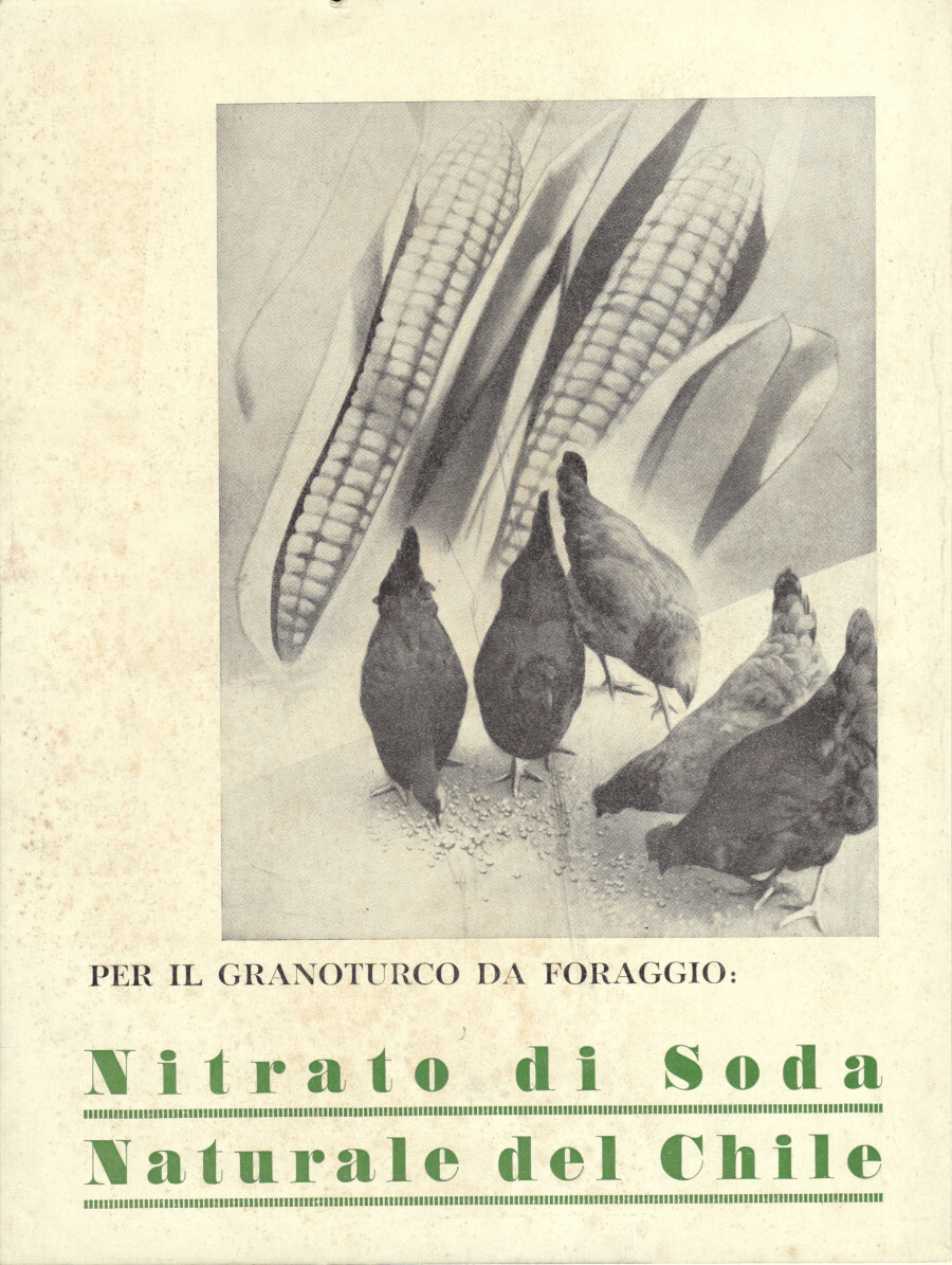 Per il granoturco da foraggio Nitrato di soda del Chili/Montecatini. …