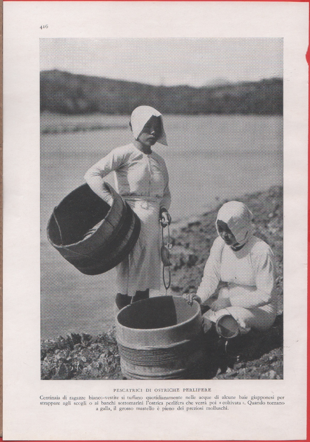 Pescatrici di ostriche perlifere. Immagine 1937