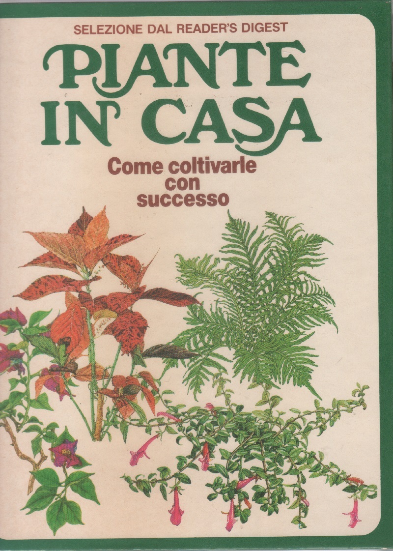 Piante in casa. Come coltivarle con successo