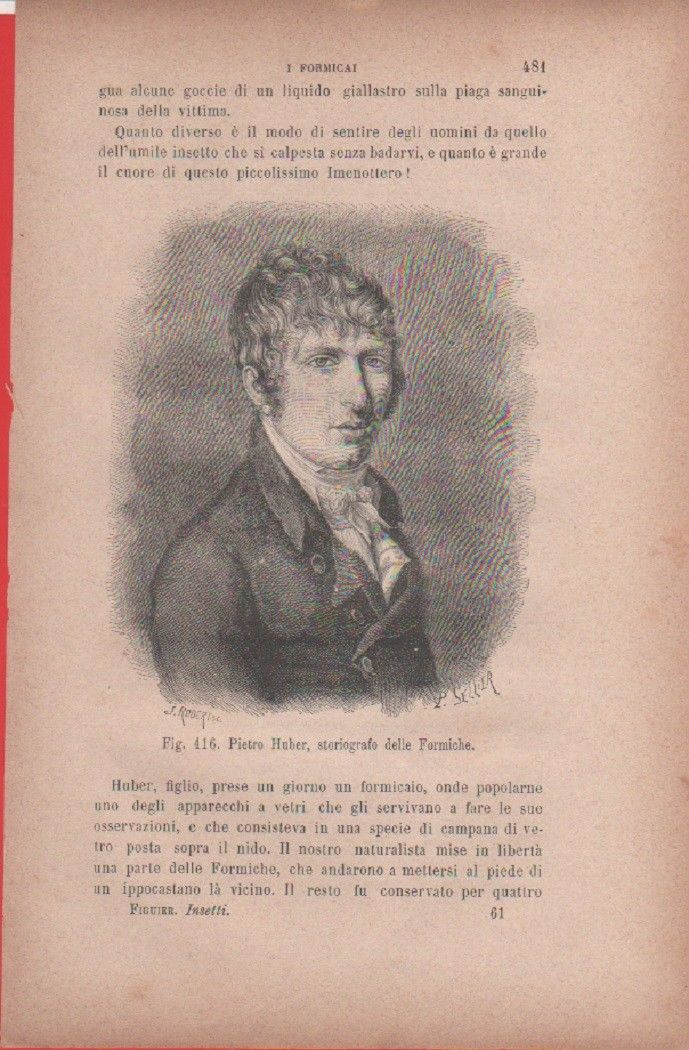 Pietro Huber, storiografo delle formiche. Vecchia stampa