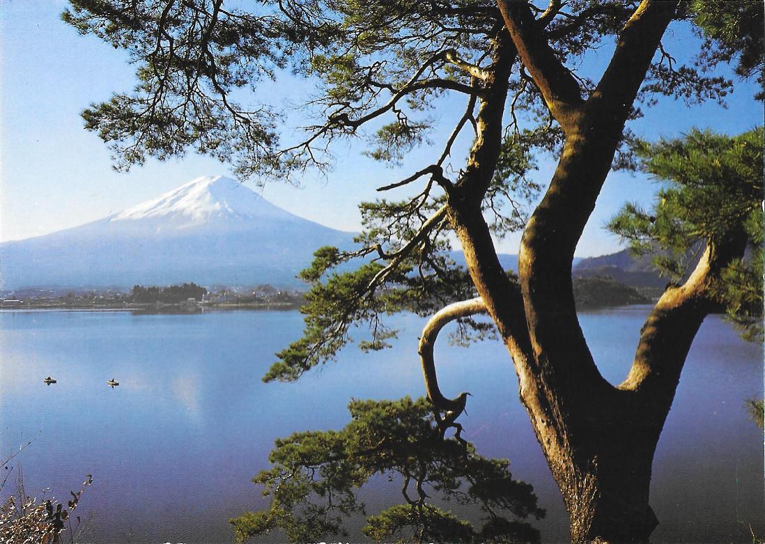 Pines of Lake Kawaguchi and Mt Fuji. Non viaggiata